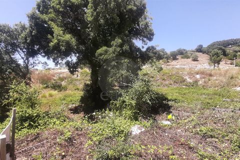 Helårsgrund i Mafra, Lisbon, Mafra - € 120.000 | Ref: 421521127 - foto 2