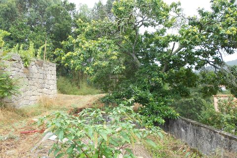 Helårsgrund i Penafiel, Porto, Penafiel - € 90.000 | Ref: 511521018 - foto 4
