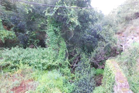 Helårsgrund i Penafiel, Porto, Penafiel - € 90.000 | Ref: 511521018 - foto 6