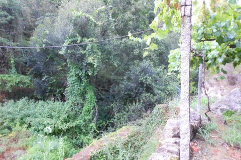 Helårsgrund i Penafiel, Porto, Penafiel - € 90.000 | Ref: 511521018 - foto 7