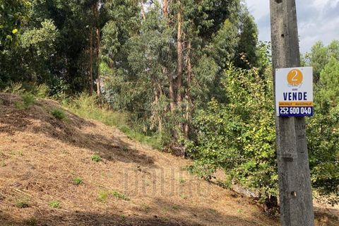 Helårsgrund i Penafiel, Porto, Penafiel - € 90.000 | Ref: 511521018 - foto 11