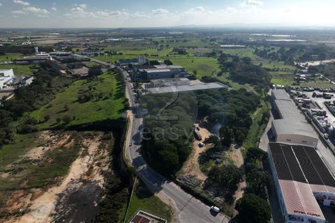 Helårsgrund i Alcochete, Setubal, Alcochete - € 1.250.000 | Ref: 521540001 - foto 6