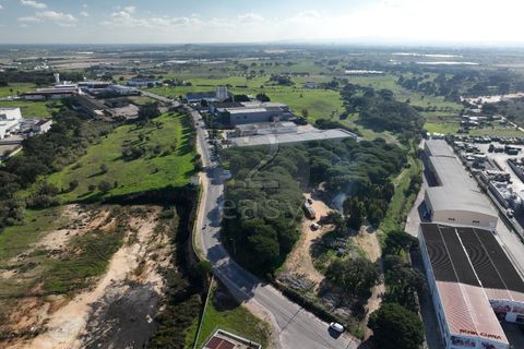 Helårsgrund i Alcochete, Setubal, Alcochete - € 1.250.000 | Ref: 521540001 - foto 7