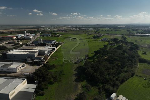 Helårsgrund i Alcochete, Setubal, Alcochete - € 1.250.000 | Ref: 521540001 - foto 8