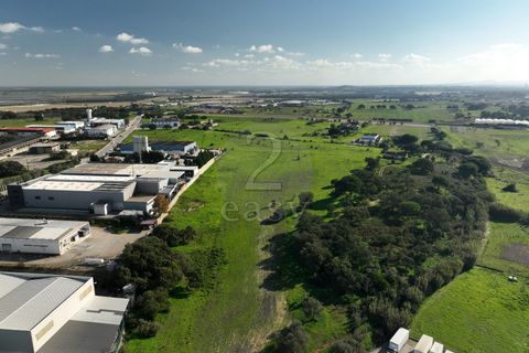 Helårsgrund i Alcochete, Setubal, Alcochete - € 1.250.000 | Ref: 521540001 - foto 9