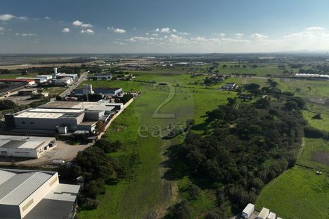 Helårsgrund i Alcochete, Setubal, Alcochete - € 1.250.000 | Ref: 521540001 - foto 10