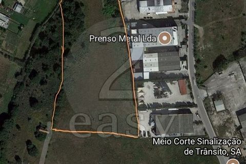 Helårsgrund i Alcochete, Setubal, Alcochete - € 1.250.000 | Ref: 521540001 - foto 11