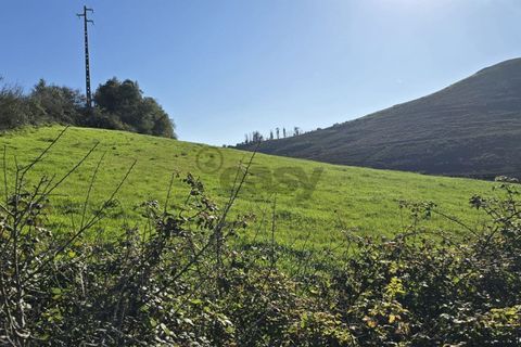Helårsgrund i Mafra, Lisbon, Mafra - € 1.715.000 | Ref: 421701002 - foto 1