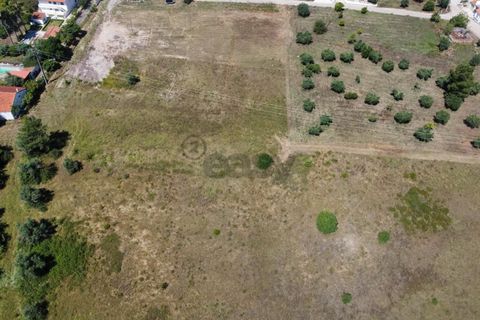 Helårsgrund i Tomar, Santarem, Tomar - € 247.500 | Ref: 651511005 - foto 3