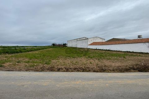Tomt i Aljustrel, Beja, Aljustrel - € 60 000 | Ref: 281671001 - foto 8