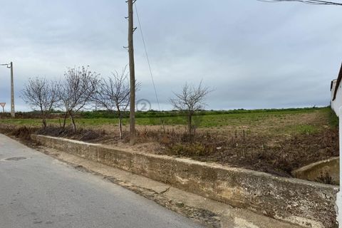 Tomt i Aljustrel, Beja, Aljustrel - € 60 000 | Ref: 281671001 - foto 9
