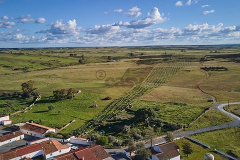 Terra a Castro Verde, Beja, Castro Verde - € 55.000 | Ref: 281671006 - foto 2