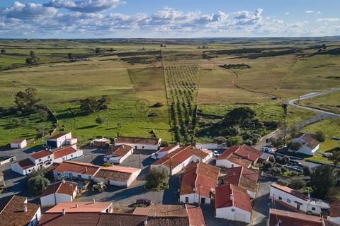 Terra a Castro Verde, Beja, Castro Verde - € 55.000 | Ref: 281671006 - foto 4
