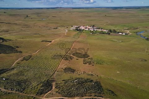 Terra a Castro Verde, Beja, Castro Verde - € 55.000 | Ref: 281671006 - foto 9