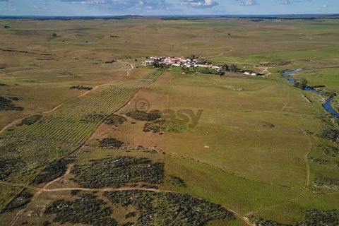 Terra a Castro Verde, Beja, Castro Verde - € 55.000 | Ref: 281671006 - foto 10