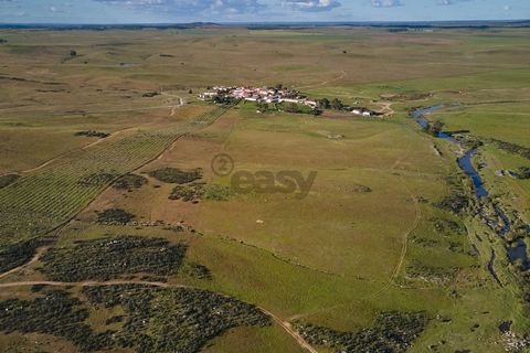 Terra a Castro Verde, Beja, Castro Verde - € 55.000 | Ref: 281671006 - foto 11