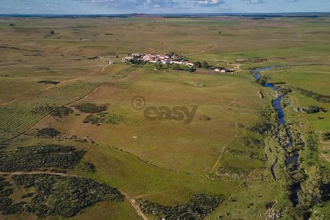 Terra a Castro Verde, Beja, Castro Verde - € 55.000 | Ref: 281671006 - foto 12