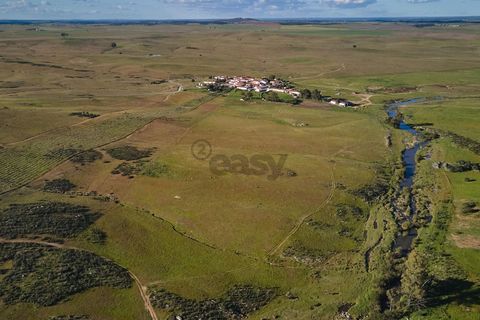 Terra a Castro Verde, Beja, Castro Verde - € 55.000 | Ref: 281671006 - foto 13