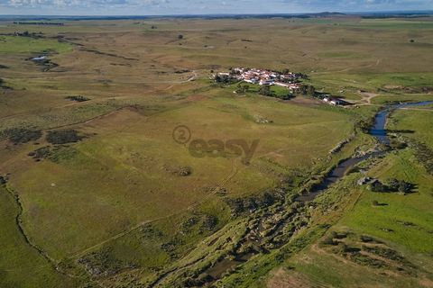 Terra a Castro Verde, Beja, Castro Verde - € 55.000 | Ref: 281671006 - foto 16