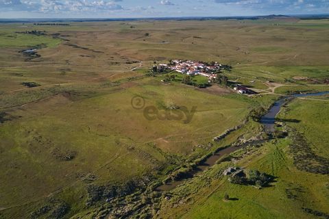 Terra a Castro Verde, Beja, Castro Verde - € 55.000 | Ref: 281671006 - foto 17