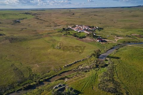 Terra a Castro Verde, Beja, Castro Verde - € 55.000 | Ref: 281671006 - foto 19