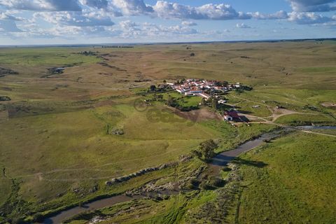 Terra a Castro Verde, Beja, Castro Verde - € 55.000 | Ref: 281671006 - foto 20