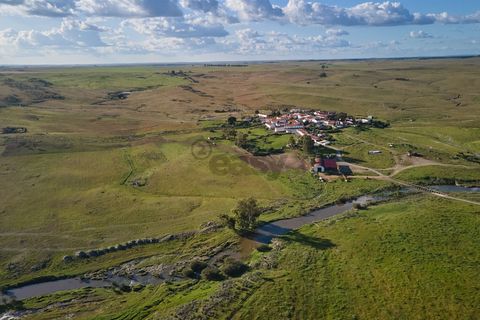 Terra a Castro Verde, Beja, Castro Verde - € 55.000 | Ref: 281671006 - foto 21