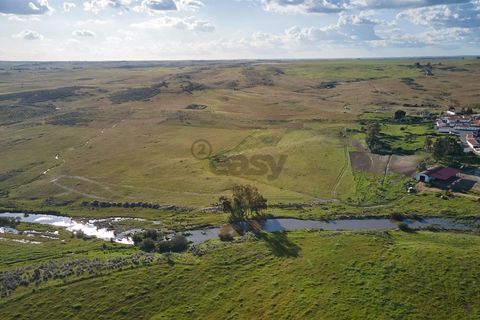 Terra a Castro Verde, Beja, Castro Verde - € 55.000 | Ref: 281671006 - foto 22