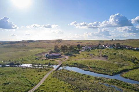 Terra a Castro Verde, Beja, Castro Verde - € 55.000 | Ref: 281671006 - foto 23