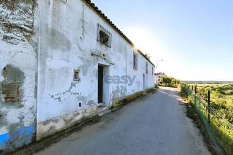Villa i Santiago do Cacem, Setubal, Santiago do Cacem - € 170.000 | Ref: 281601079 - foto 3