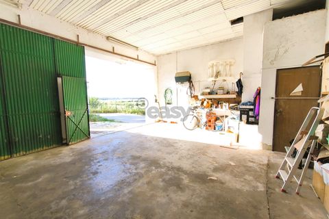 Villa i Santiago do Cacem, Setubal, Santiago do Cacem - € 170.000 | Ref: 281601079 - foto 10