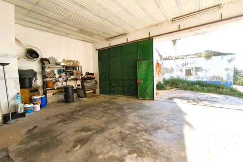Villa i Santiago do Cacem, Setubal, Santiago do Cacem - € 170.000 | Ref: 281601079 - foto 12