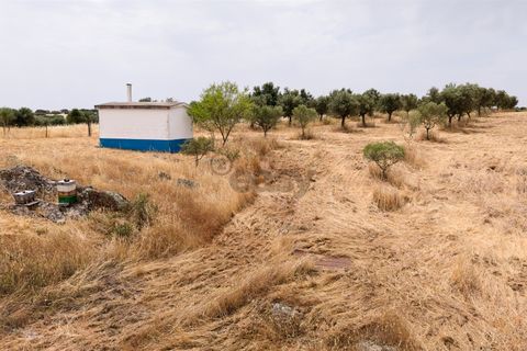 Helårsgrund i Alandroal, Evora, Alandroal - € 35.000 | Ref: 281681002 - foto 12