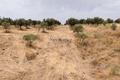 Helårsgrund i Alandroal, Evora, Alandroal - € 35.000 | Ref: 281681002 - foto 13