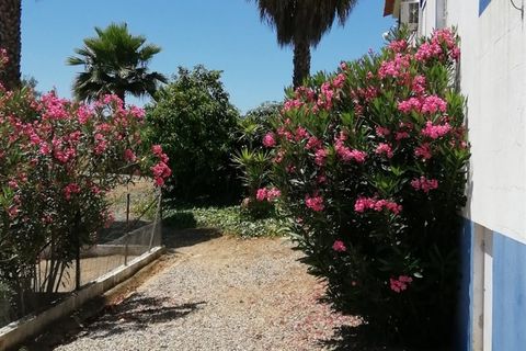 Villa a Portel, Evora, Portel - € 785.000 | Ref: 531511027 - foto 10
