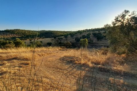 Helårsgrund i Portel, Evora, Portel - € 227.500 | Ref: 531511032 - foto 4
