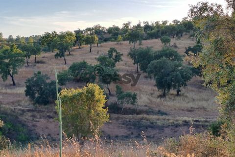 Helårsgrund i Portel, Evora, Portel - € 227.500 | Ref: 531511032 - foto 5