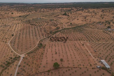 Helårsgrund i Portel, Evora, Portel - € 87.500 | Ref: 531511036 - foto 2
