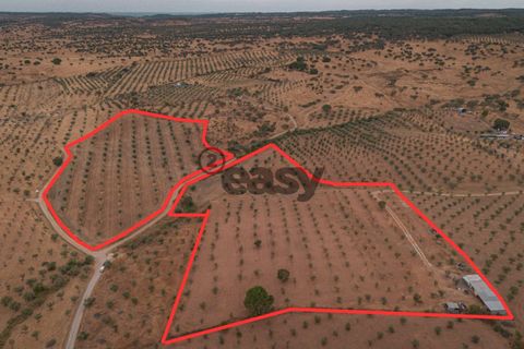 Helårsgrund i Portel, Evora, Portel - € 87.500 | Ref: 531511036 - foto 3