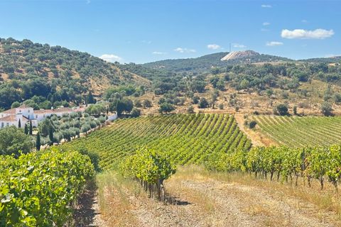 Terra a Borba, Evora, Borba - € 65.000 | Ref: 281571067 - foto 3