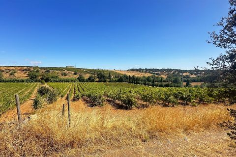 Terra a Borba, Evora, Borba - € 65.000 | Ref: 281571067 - foto 5