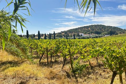 Terra a Borba, Evora, Borba - € 65.000 | Ref: 281571067 - foto 14