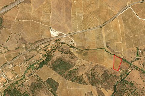 Terra a Borba, Evora, Borba - € 65.000 | Ref: 281571067 - foto 19