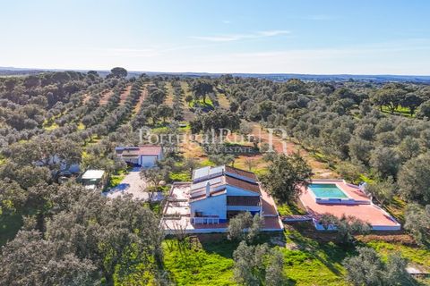 Farm hus i Mora, Evora, Mora - € 420.000 | Ref: FG816 - foto 4