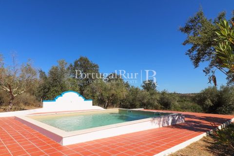 Farm hus i Mora, Evora, Mora - € 420.000 | Ref: FG816 - foto 8