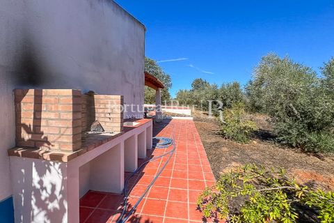 Farm hus i Mora, Evora, Mora - € 420.000 | Ref: FG816 - foto 11