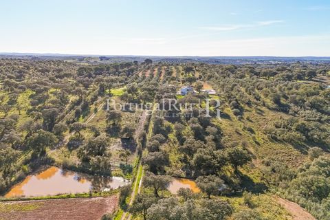 Farm hus i Mora, Evora, Mora - € 420.000 | Ref: FG816 - foto 17