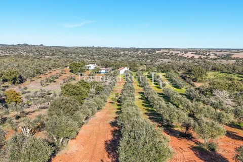 Farm hus i Mora, Evora, Mora - € 420.000 | Ref: FG816 - foto 18