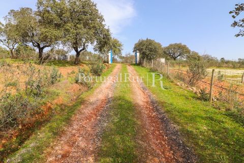 Farm hus i Mora, Evora, Mora - € 420.000 | Ref: FG816 - foto 19