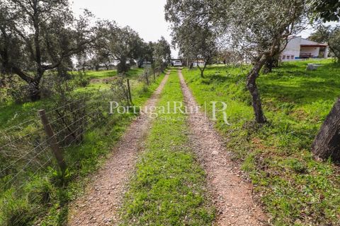 Farm hus i Mora, Evora, Mora - € 420.000 | Ref: FG816 - foto 20